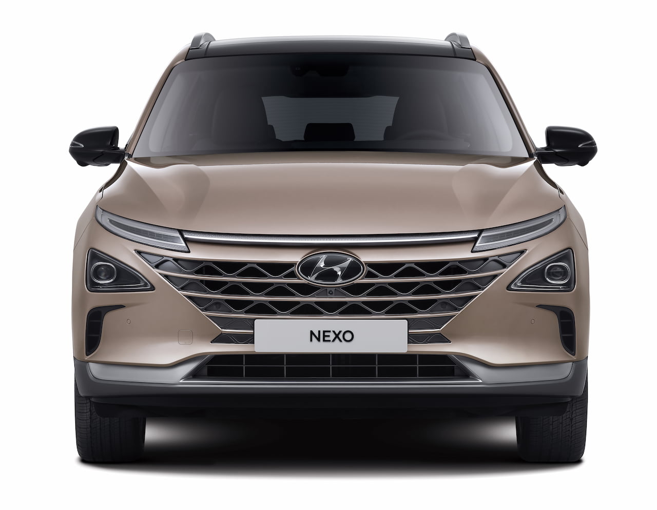 2021 Hyundai Nexo front